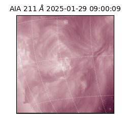 saia - 2025-01-29T09:00:09.630000