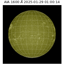 saia - 2025-01-29T01:00:14.137000