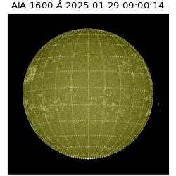 saia - 2025-01-29T09:00:14.125000