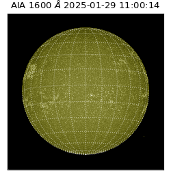 saia - 2025-01-29T11:00:14.125000