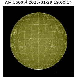 saia - 2025-01-29T19:00:14.132000