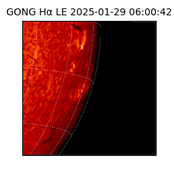 gong - 2025-01-29T06:00:42