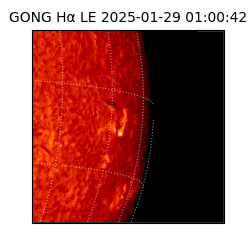 gong - 2025-01-29T01:00:42