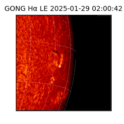 gong - 2025-01-29T02:00:42