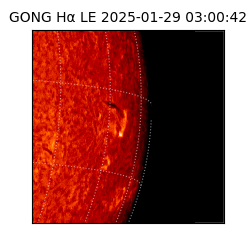 gong - 2025-01-29T03:00:42