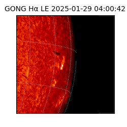 gong - 2025-01-29T04:00:42