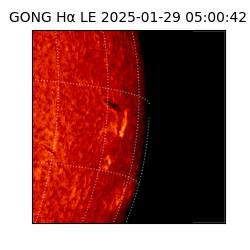 gong - 2025-01-29T05:00:42