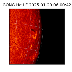 gong - 2025-01-29T06:00:42