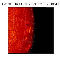 gong - 2025-01-29T07:00:42