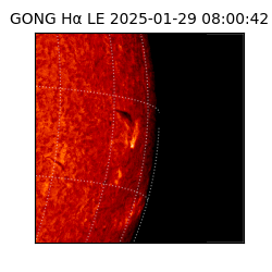 gong - 2025-01-29T08:00:42