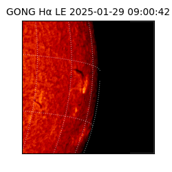 gong - 2025-01-29T09:00:42