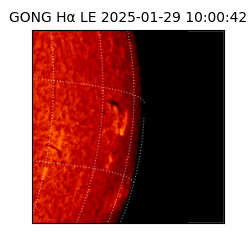 gong - 2025-01-29T10:00:42