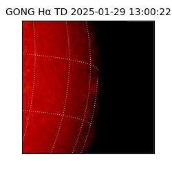gong - 2025-01-29T13:00:22
