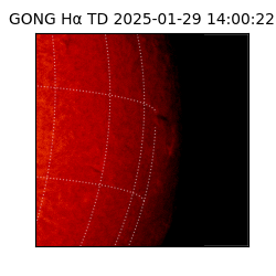 gong - 2025-01-29T14:00:22
