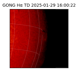 gong - 2025-01-29T16:00:22