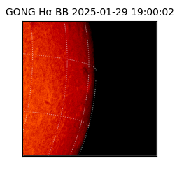 gong - 2025-01-29T19:00:02