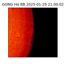 gong - 2025-01-29T21:00:02