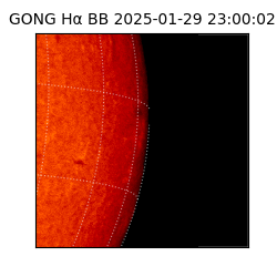 gong - 2025-01-29T23:00:02