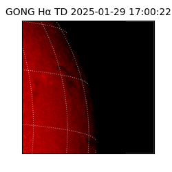 gong - 2025-01-29T17:00:22