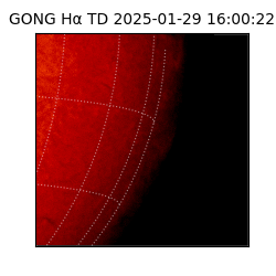 gong - 2025-01-29T16:00:22