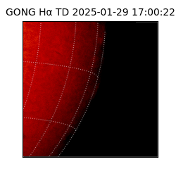 gong - 2025-01-29T17:00:22