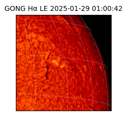 gong - 2025-01-29T01:00:42