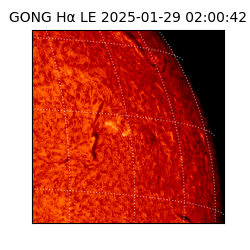 gong - 2025-01-29T02:00:42