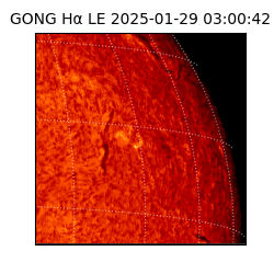 gong - 2025-01-29T03:00:42
