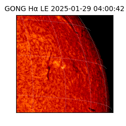 gong - 2025-01-29T04:00:42