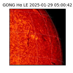 gong - 2025-01-29T05:00:42