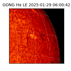 gong - 2025-01-29T06:00:42