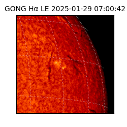 gong - 2025-01-29T07:00:42