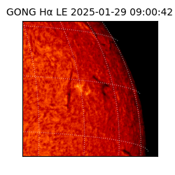 gong - 2025-01-29T09:00:42