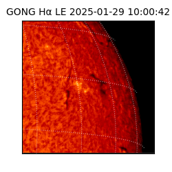 gong - 2025-01-29T10:00:42