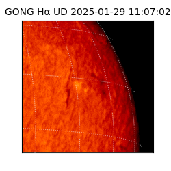 gong - 2025-01-29T11:07:02