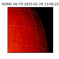 gong - 2025-01-29T13:00:22
