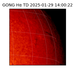 gong - 2025-01-29T14:00:22