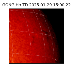gong - 2025-01-29T15:00:22