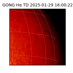 gong - 2025-01-29T16:00:22