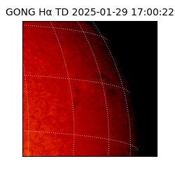 gong - 2025-01-29T17:00:22
