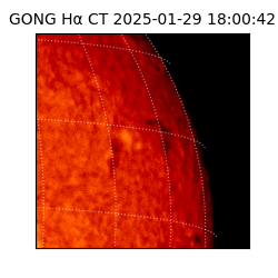 gong - 2025-01-29T18:00:42