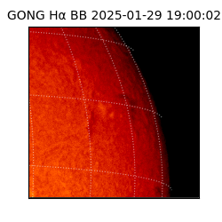 gong - 2025-01-29T19:00:02