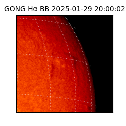 gong - 2025-01-29T20:00:02