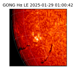 gong - 2025-01-29T01:00:42