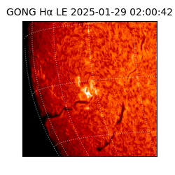 gong - 2025-01-29T02:00:42
