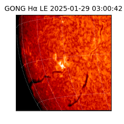 gong - 2025-01-29T03:00:42
