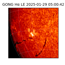 gong - 2025-01-29T05:00:42