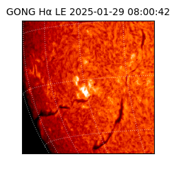 gong - 2025-01-29T08:00:42