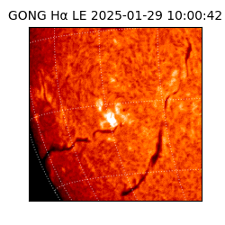 gong - 2025-01-29T10:00:42