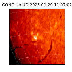 gong - 2025-01-29T11:07:02